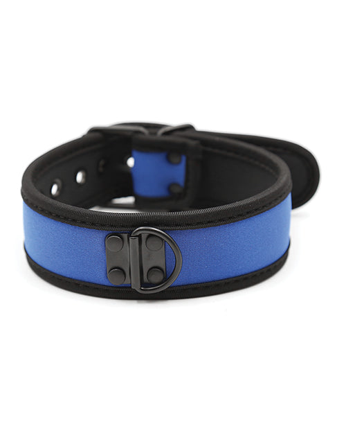 Plesur Neoprene Puppy Collar - Blue