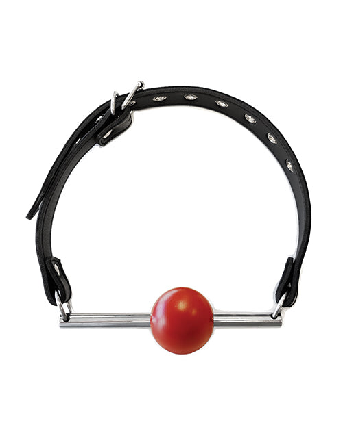 Rouge Leather Ball Gag with Stainless Steel Rod and Removable Ball - Black with Red