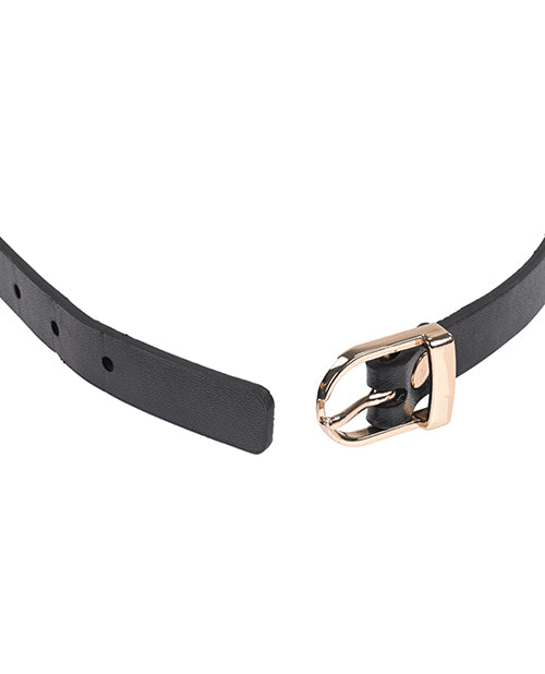 Sex & Mischief Double Buckle Day Collar